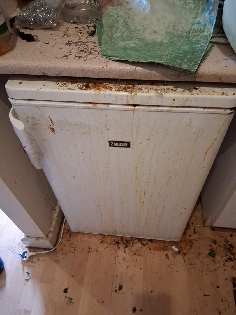 Before cleaning